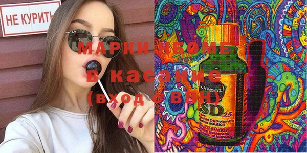 соль ск Ладушкин