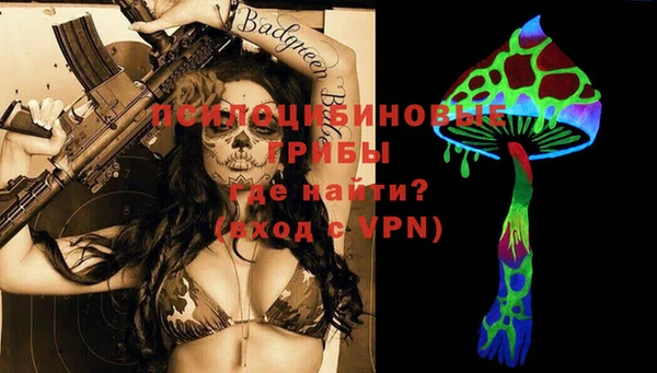 винт Липки